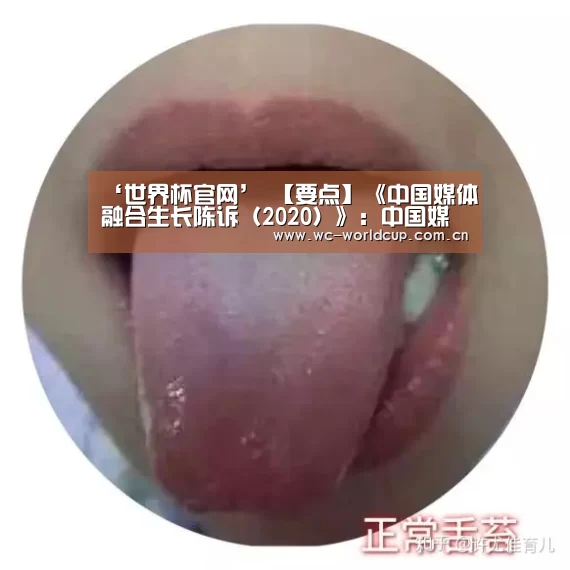 ‘世界杯官网’
【要点】《中国媒体融合生长陈诉(2020)》:中国媒体融合生长排行榜(图1) 2026世界杯