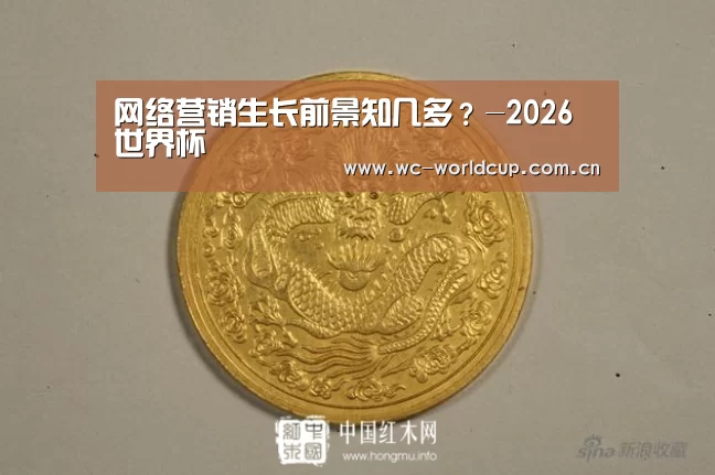网络营销生长前景知几多?-2026世界杯(图1) 2026世界杯