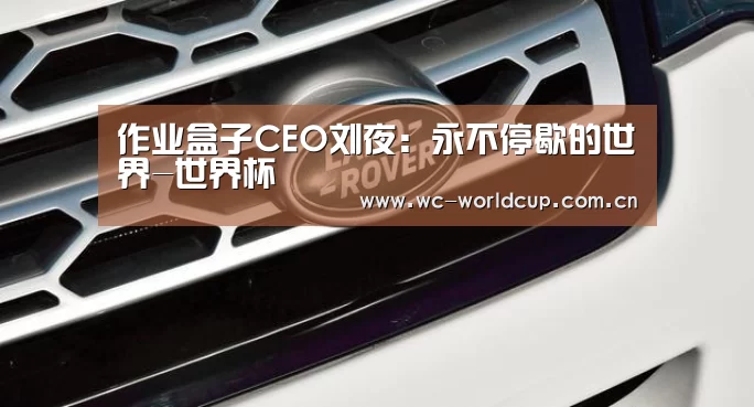 作业盒子CEO刘夜:永不停歇的世界-世界杯(图1) 2026世界杯