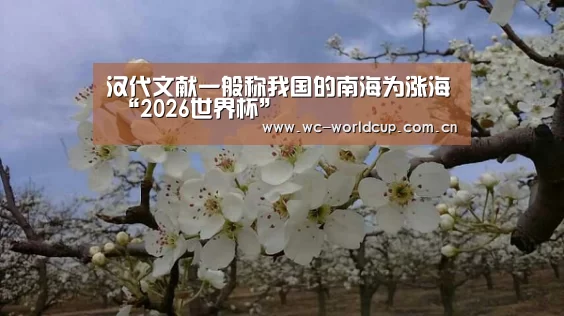 汉代文献一般称我国的南海为涨海 “2026世界杯”(图4) 世界杯官网